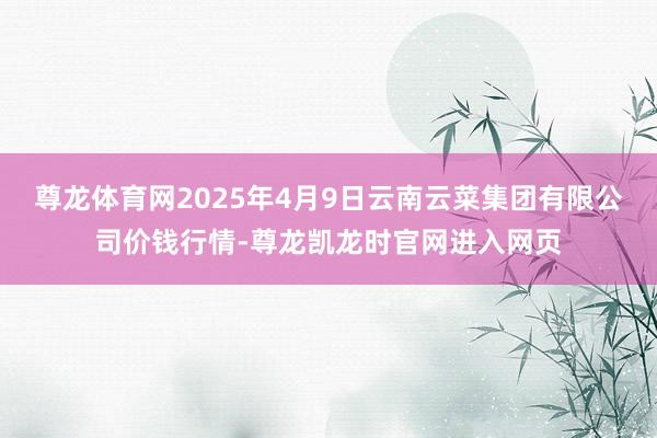 尊龙体育网2025年4月9日云南云菜集团有限公司价钱行情-尊龙凯龙时官网进入网页