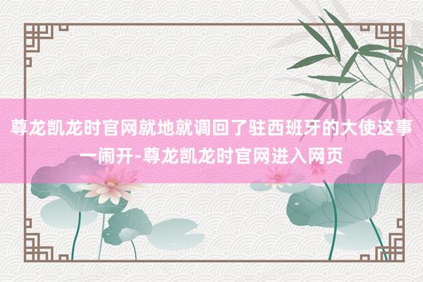 尊龙凯龙时官网就地就调回了驻西班牙的大使这事一闹开-尊龙凯龙时官网进入网页