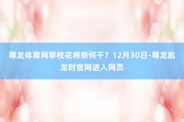 尊龙体育网攀枝花将奈何干？12月30日-尊龙凯龙时官网进入网页